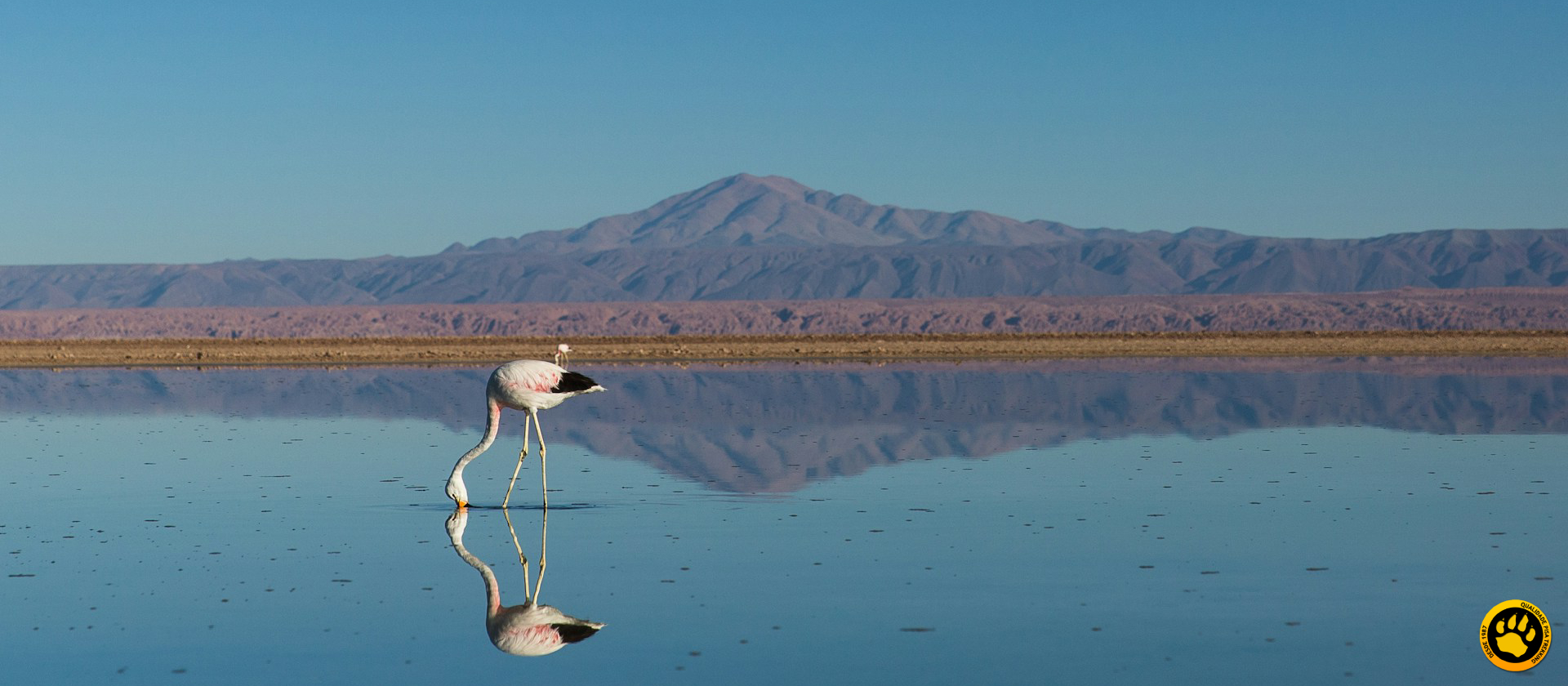Réveillon no Atacama, o que fazer?