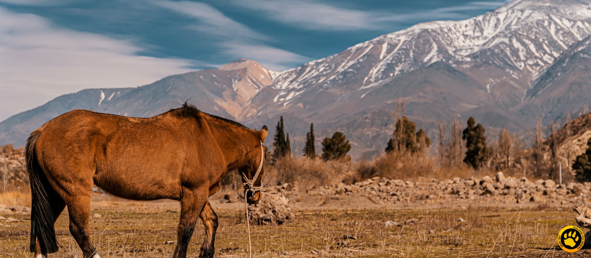 Viagens internacionais para o Carnaval 2026