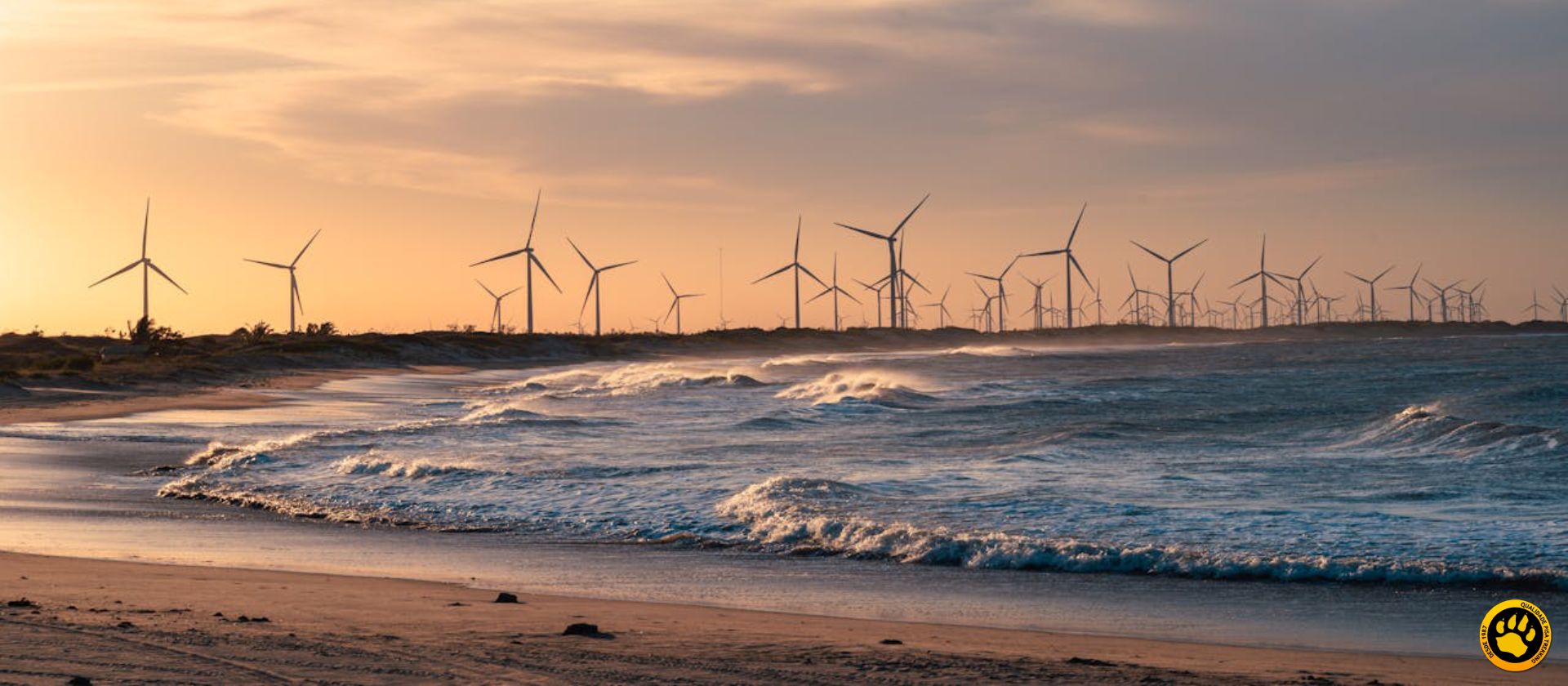 Conheça a Travessia da Costa Branca