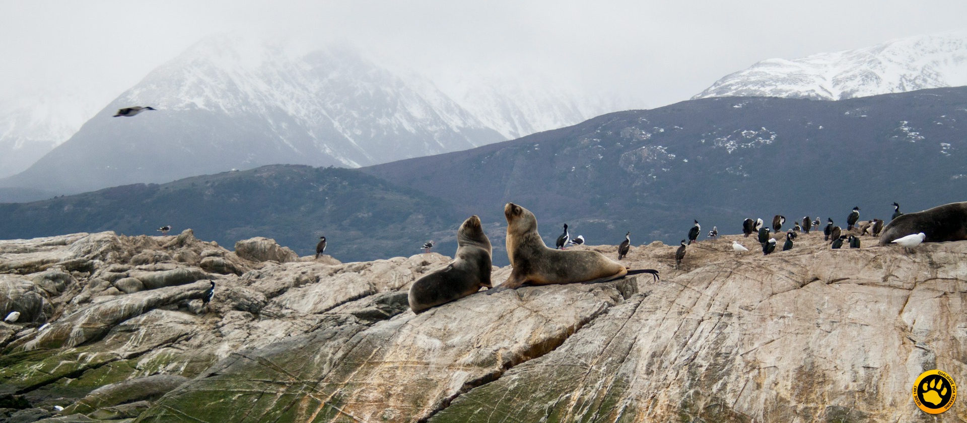 Patagônia no inverno vale a pena?