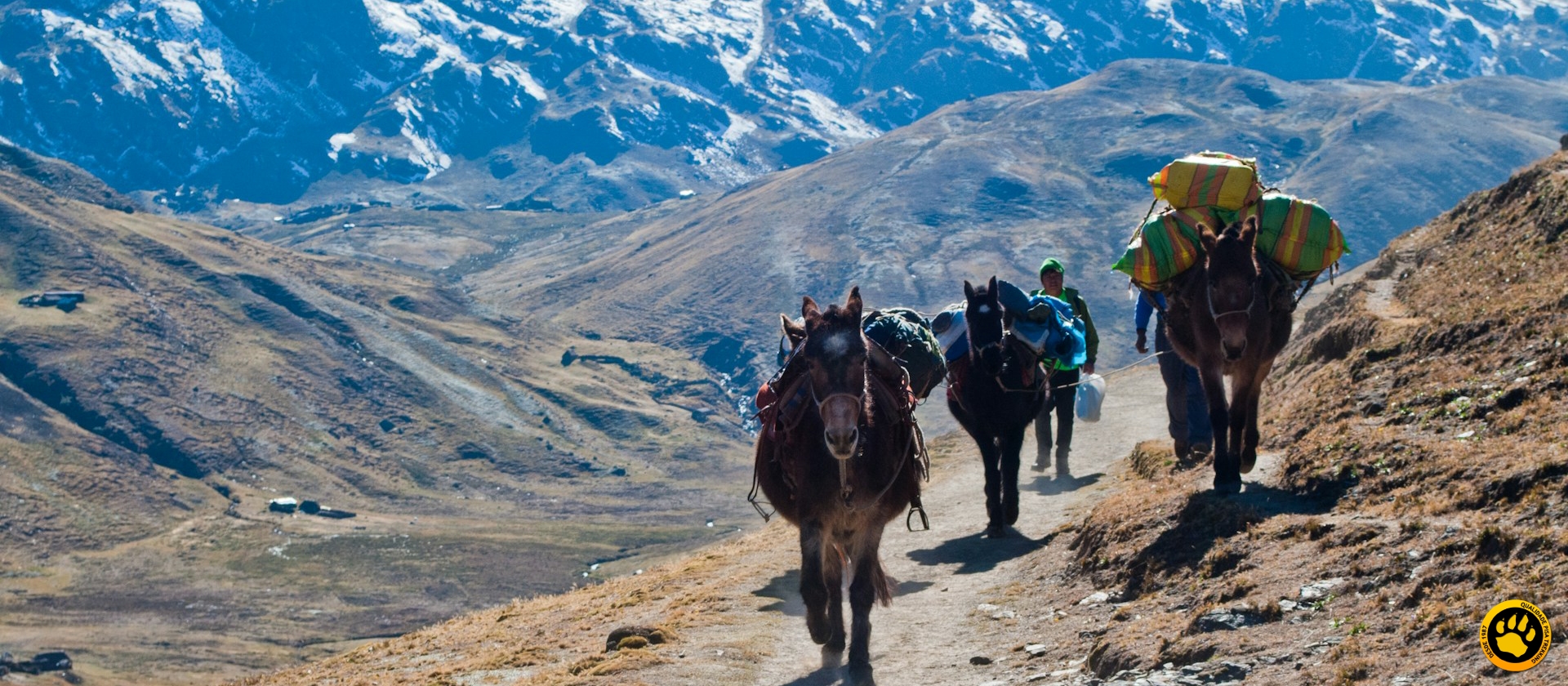 Conheça o Trekking Cruce de Los Andres