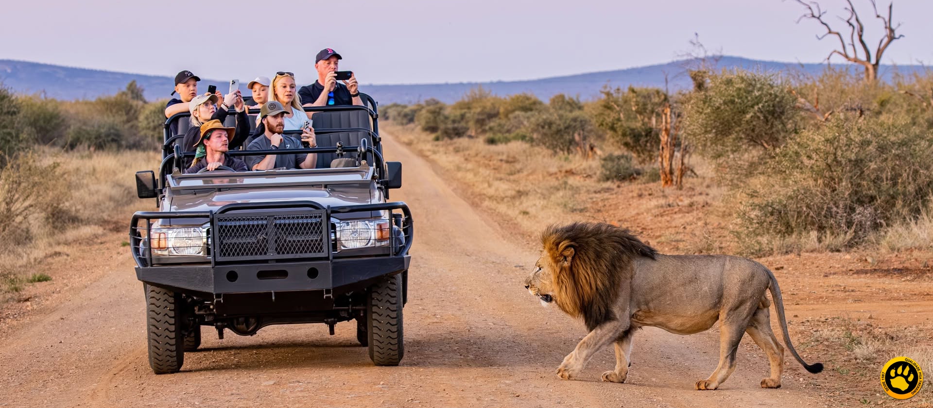 Safári na Madikwe, por que escolher?